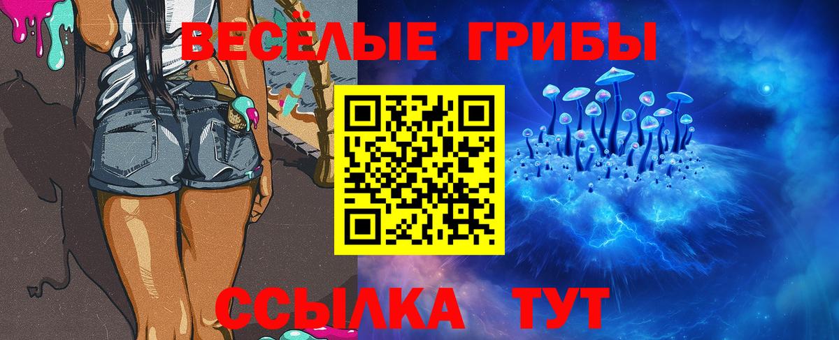 закладка  Вход с VPN  Магнитогорск  Галлюциногенные грибы GOLDEN TEACHER 